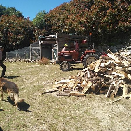 Chale Pouso Da Serra - Casas De Montanha Costilhao エクステリア 写真