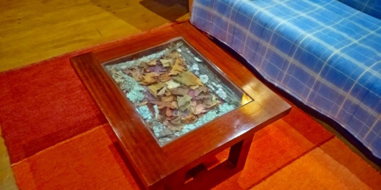 Chale Pouso Da Serra - Casas De Montanha Costilhao エクステリア 写真
