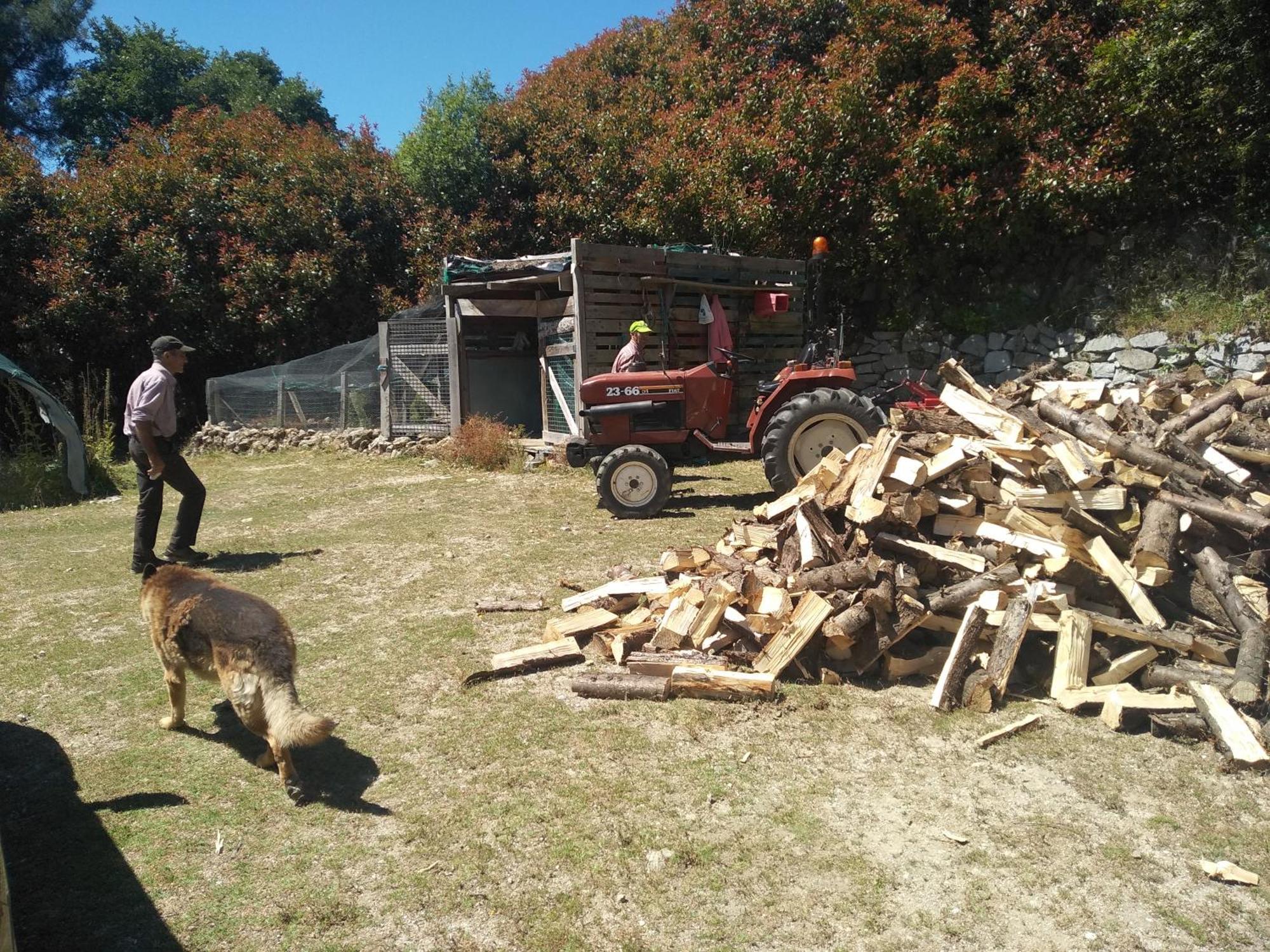 Chale Pouso Da Serra - Casas De Montanha Costilhao エクステリア 写真